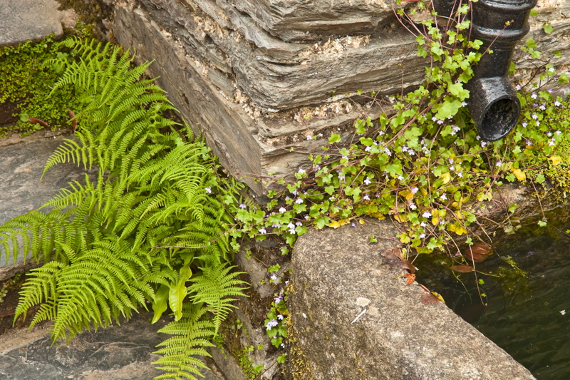 _mg_9804.jpg