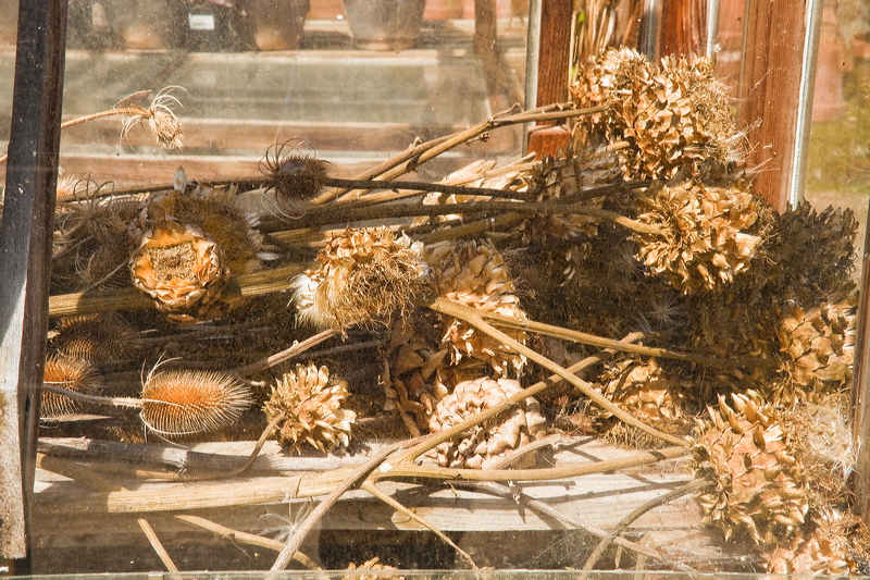 _mg_9954.jpg