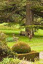 _mg_8538
