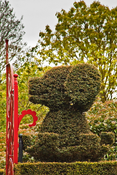 _mg_8537.jpg