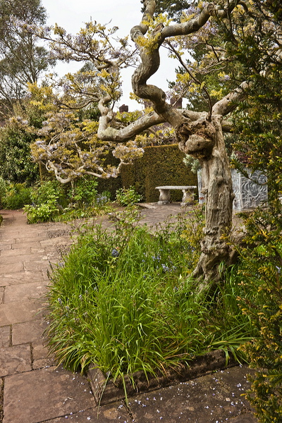 _mg_8658.jpg