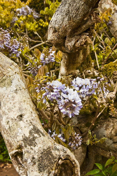 _mg_8659.jpg