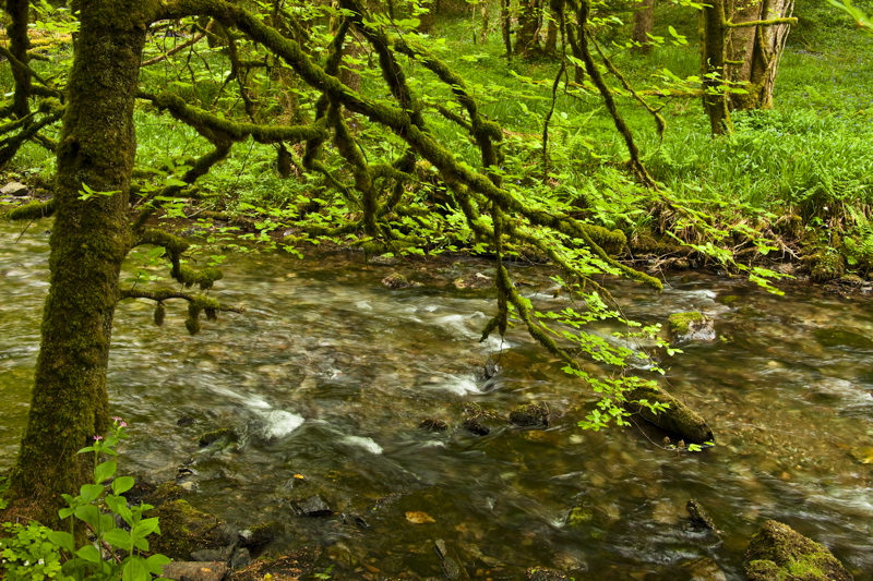 _mg_8790.jpg