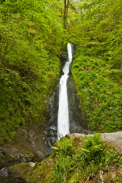_mg_8795.jpg