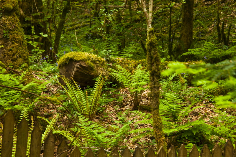 _mg_8797.jpg