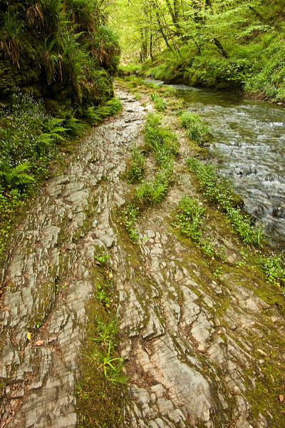 _mg_8800.jpg