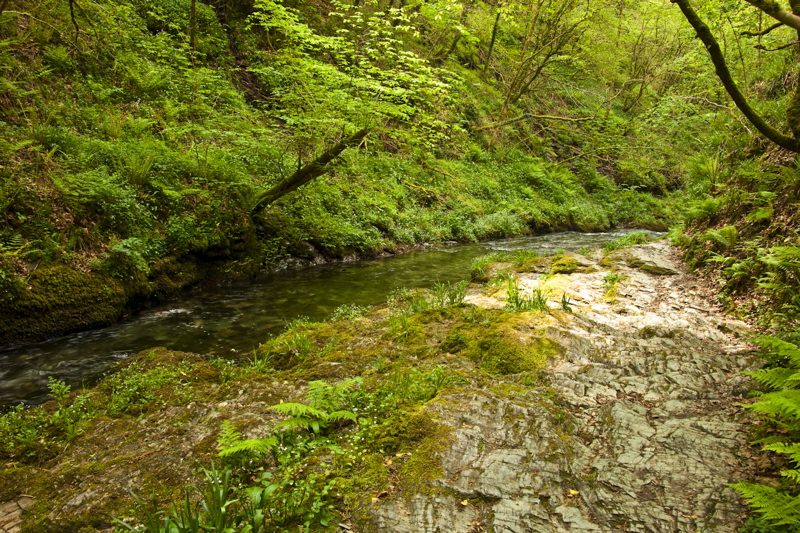 _mg_8801.jpg