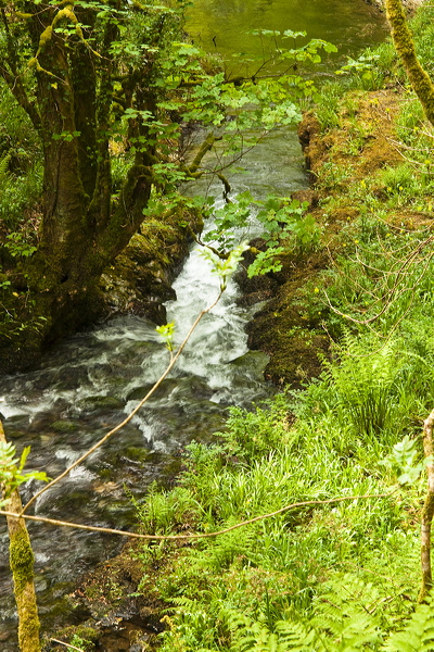 _mg_8803.jpg