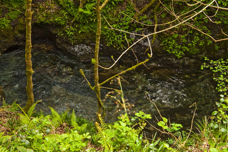 _mg_8804.jpg
