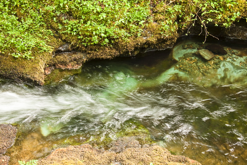 _mg_8805.jpg