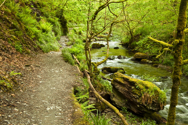 _mg_8806.jpg