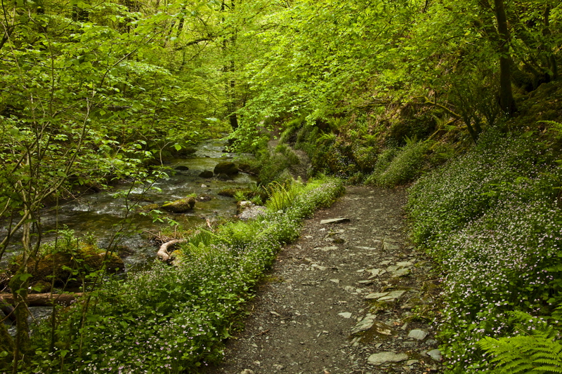 _mg_8811.jpg