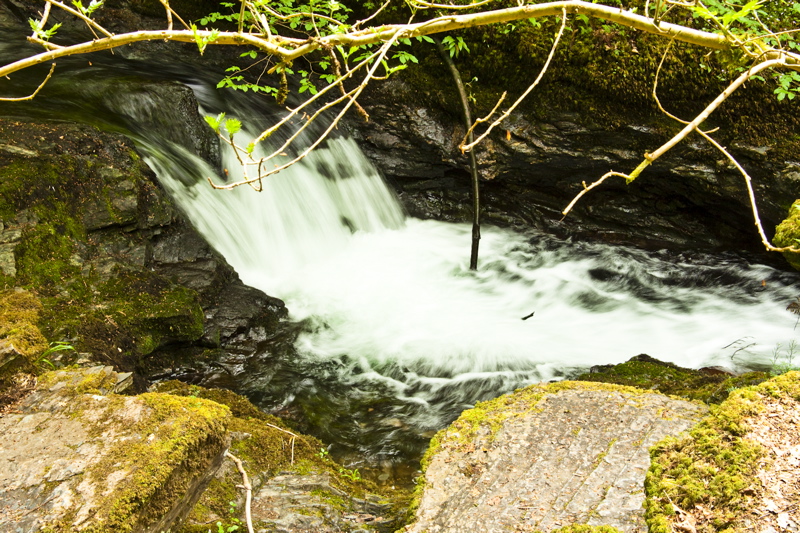 _mg_8816.jpg