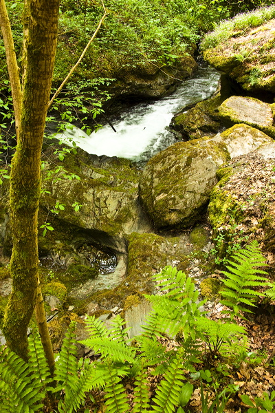 _mg_8817.jpg