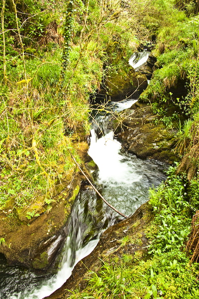 _mg_8821.jpg