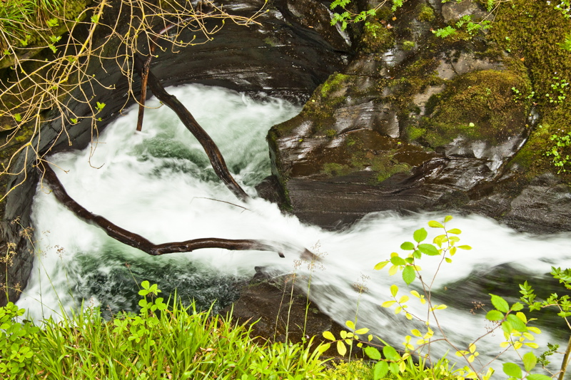 _mg_8823.jpg
