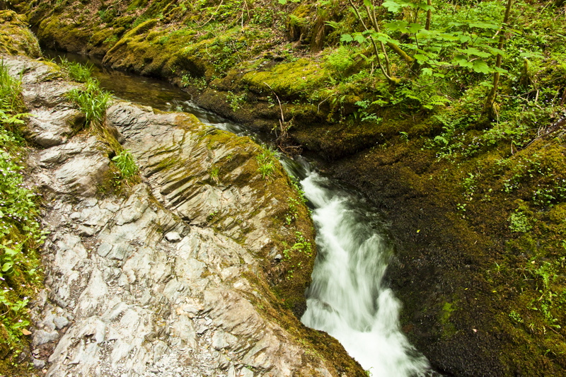 _mg_8828.jpg