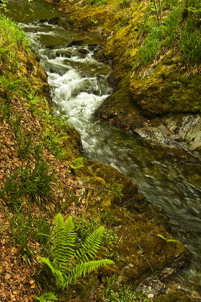 _mg_8834.jpg