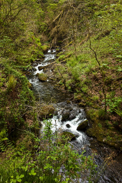 _mg_8837.jpg