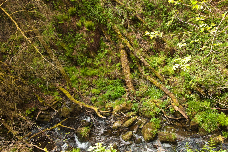 _mg_8838.jpg