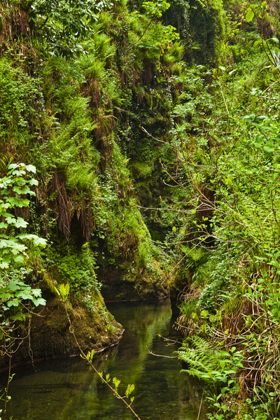_mg_8844.jpg
