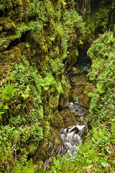 _mg_8846.jpg