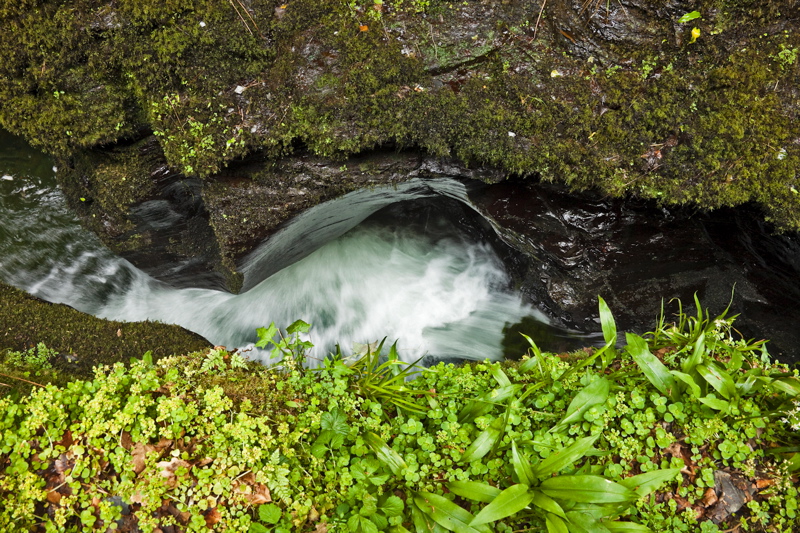 _mg_8847.jpg