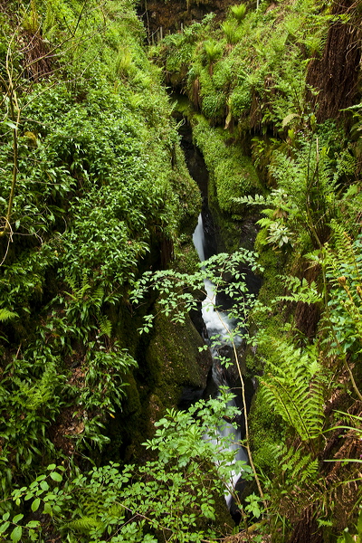 _mg_8856.jpg