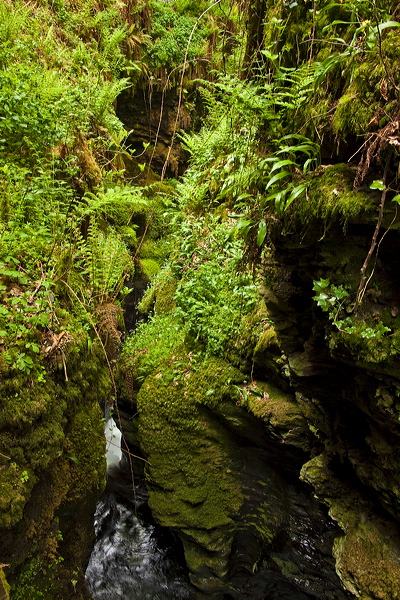 _mg_8858.jpg