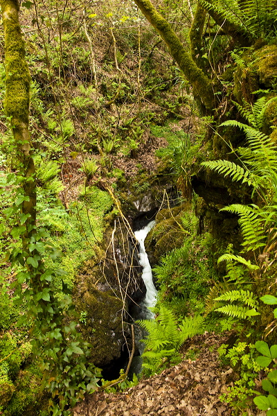 _mg_8860.jpg
