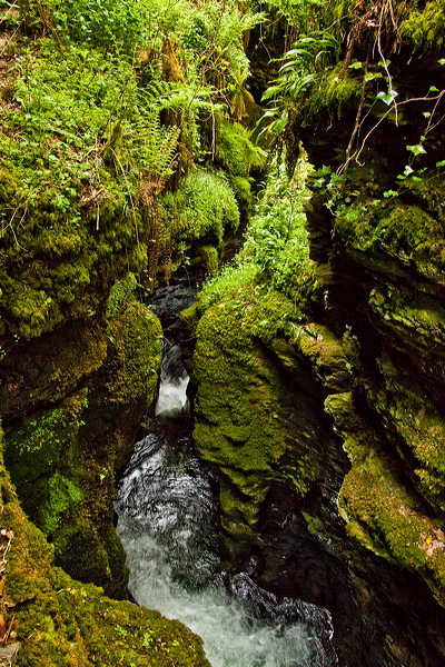 _mg_8862.jpg