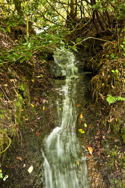 _mg_8873.jpg