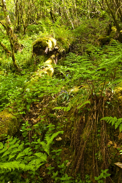 _mg_8877.jpg