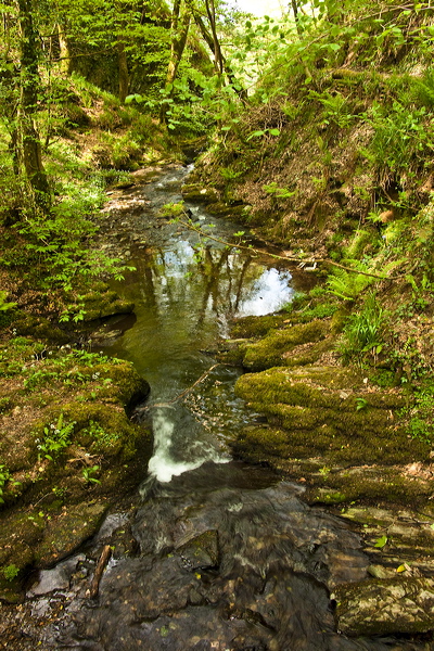 _mg_8883.jpg