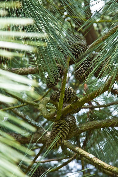 _mg_7942.jpg