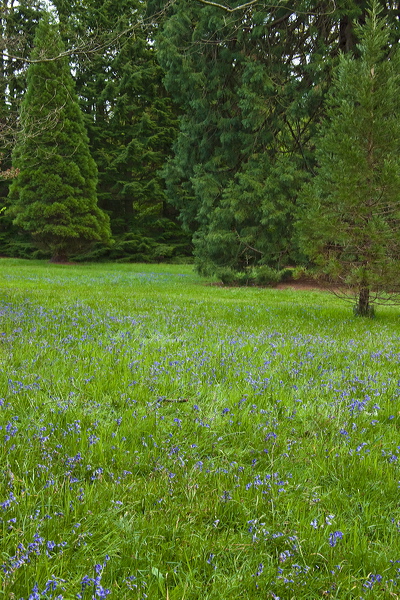 _mg_7960.jpg