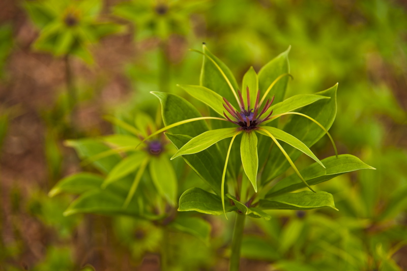 _mg_6698.jpg