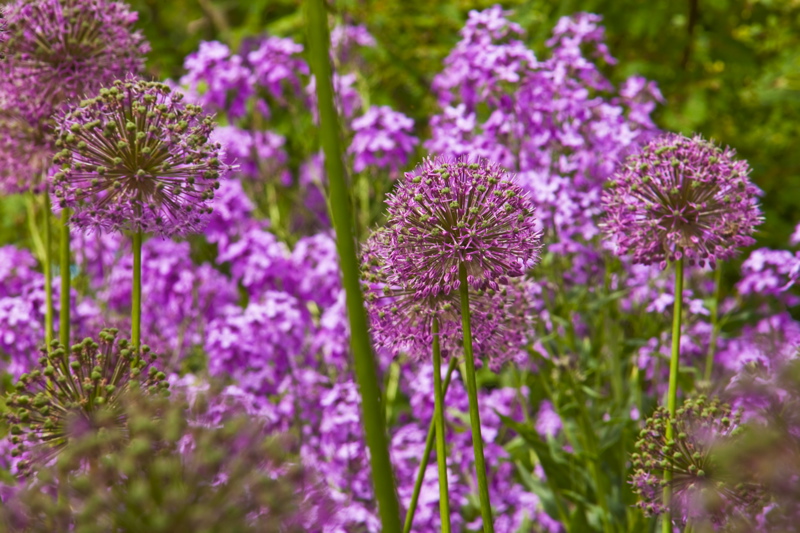 _mg_6705.jpg