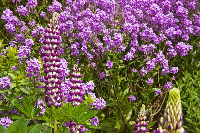 _mg_6706.jpg