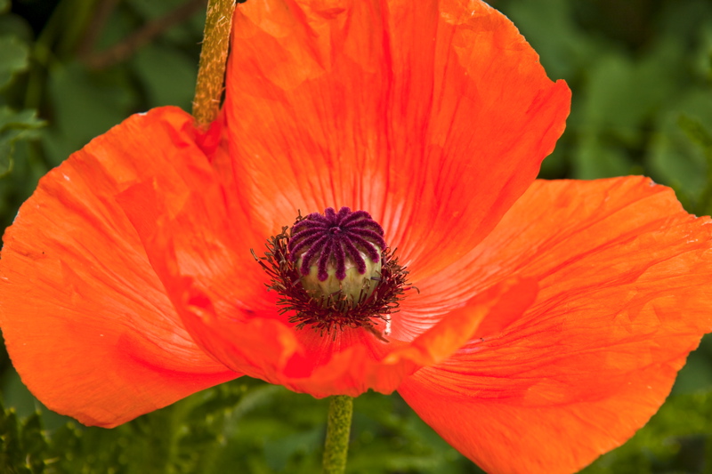 _mg_6774.jpg