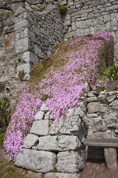 _mg_9366.jpg