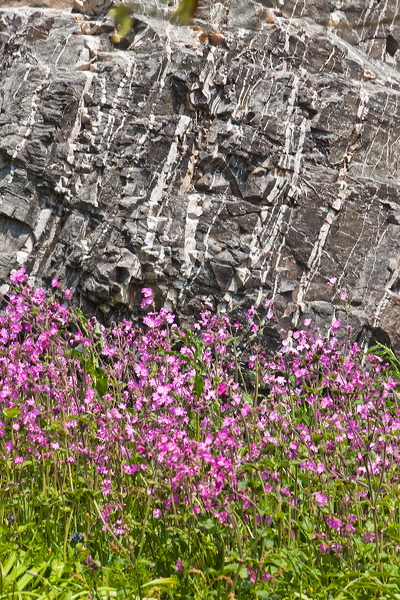 _mg_9368.jpg