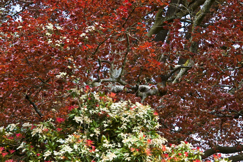 _mg_8284.jpg