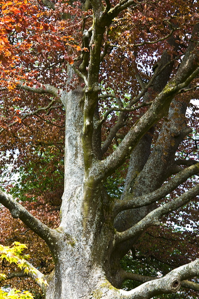 _mg_8290.jpg