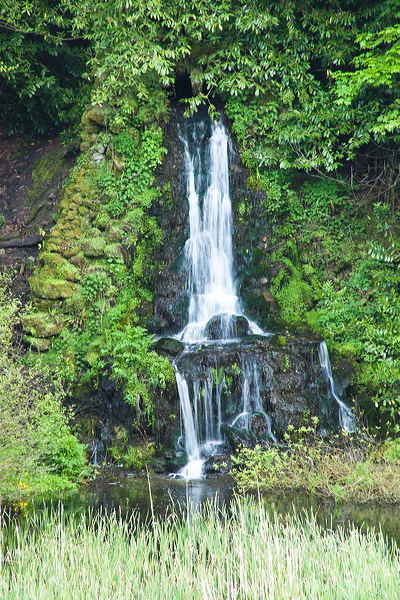 _mg_8135.jpg