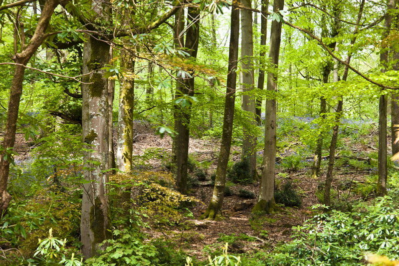 _mg_8153.jpg