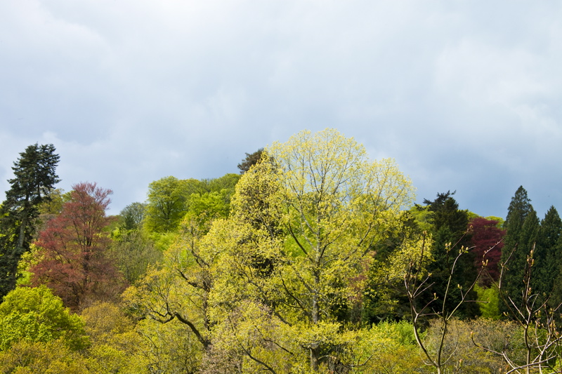 _mg_8209.jpg