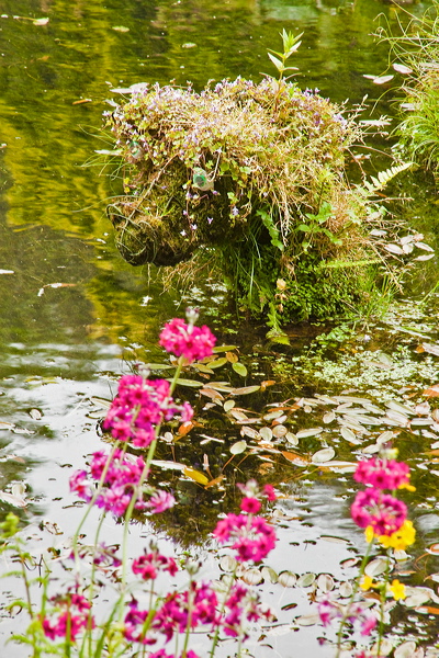 _mg_9656.jpg