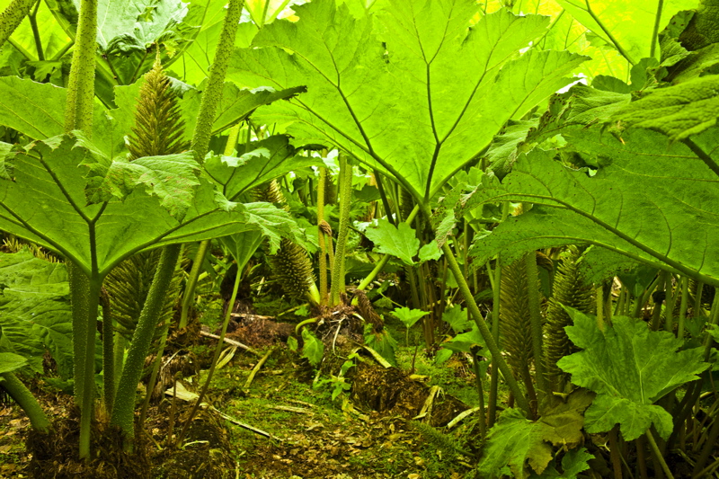 _mg_9678.jpg