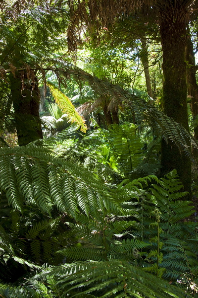 _mg_9223.jpg